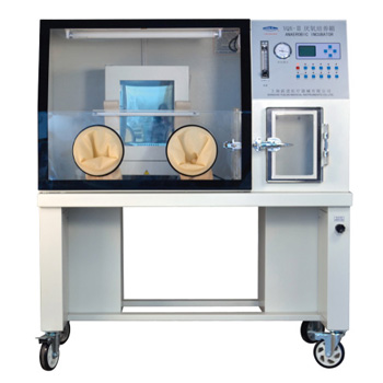 上海躍進(jìn)厭氧培養(yǎng)箱YQX-I/II/III